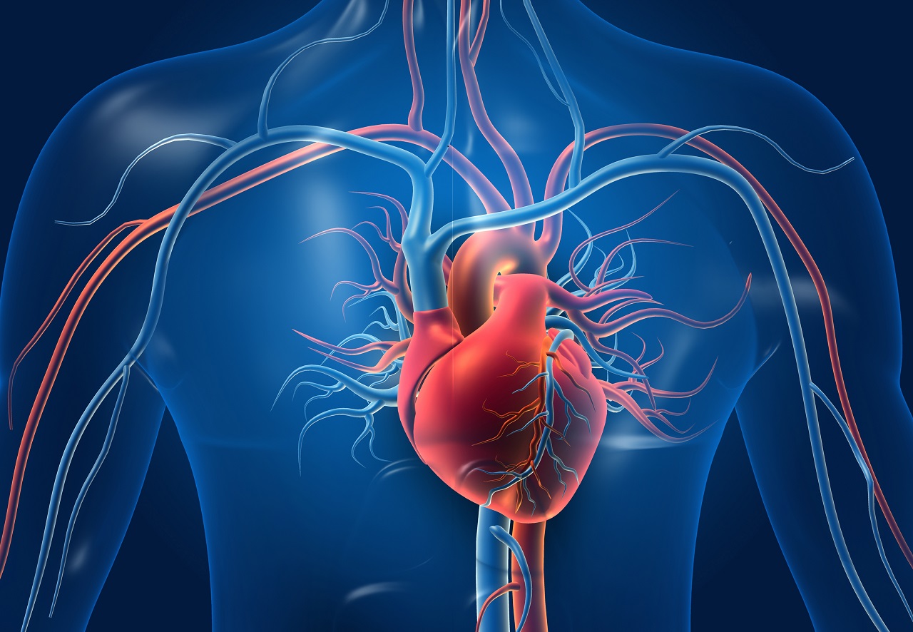 Choroby serca – dlaczego profilaktyka jest taka ważna?