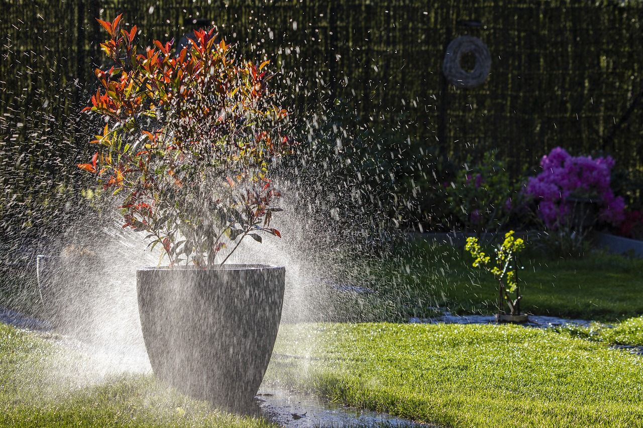 Skąd wziąć wodę do podlewania ogrodu?